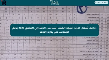 «رابط شغال الآن» نتيجة الصف السادس الابتدائي الأزهري 2025 برقم الجلوس على بوابة الأزهر